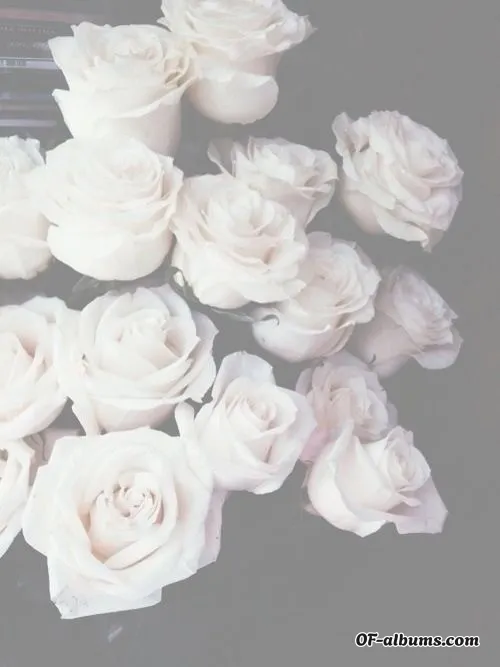 Image #2 of officialmsjrose