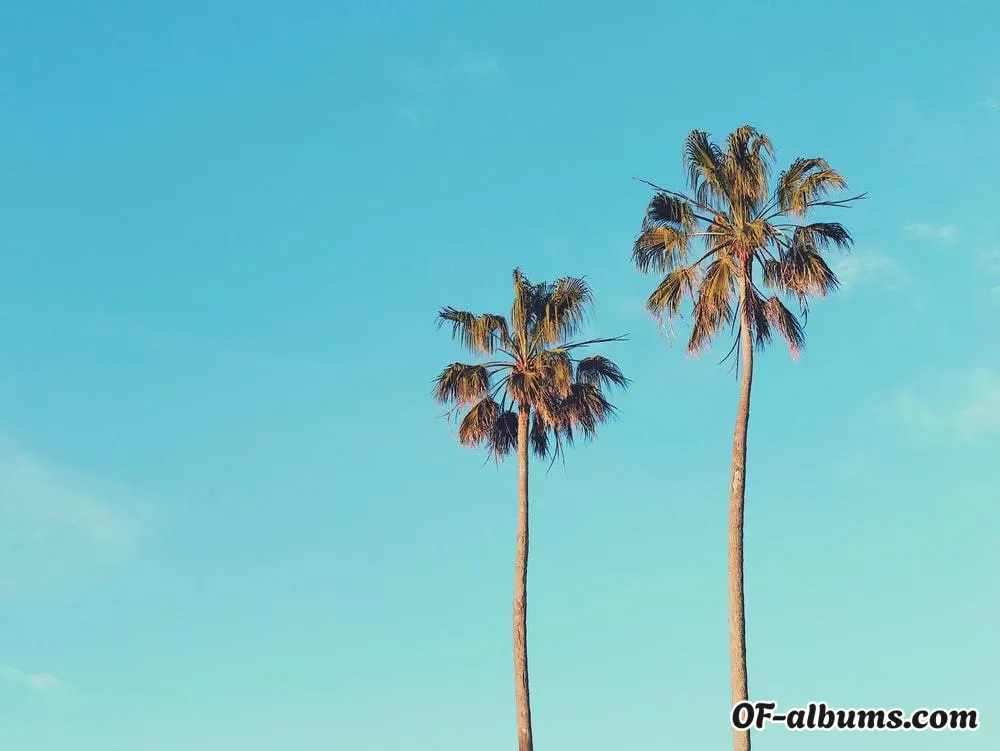 Image #2 of oftwink97