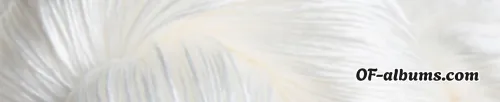 Image #3 of okaiko
