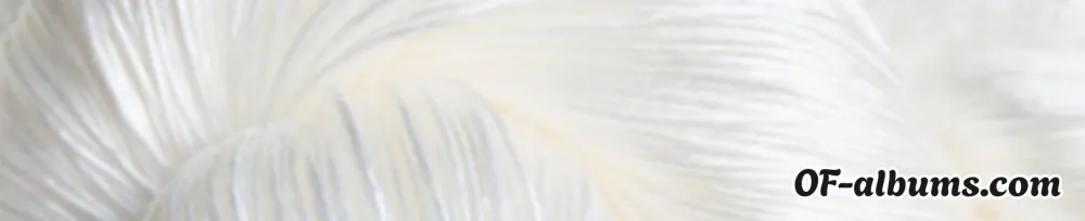 Image #2 of okaiko
