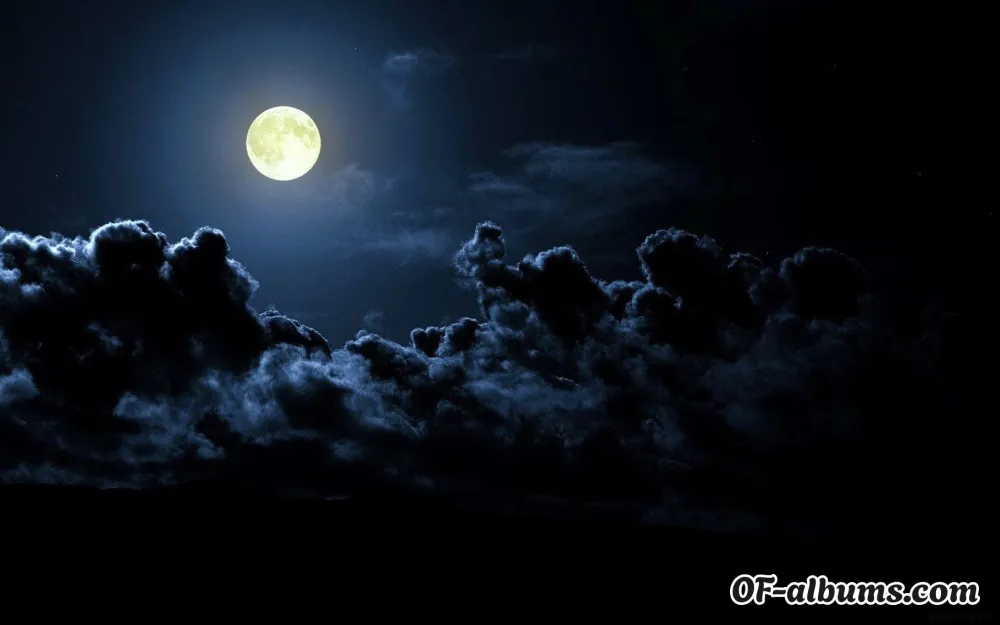 Image #2 of omggitsjessica