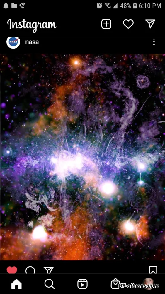 Image #2 of orange_peach