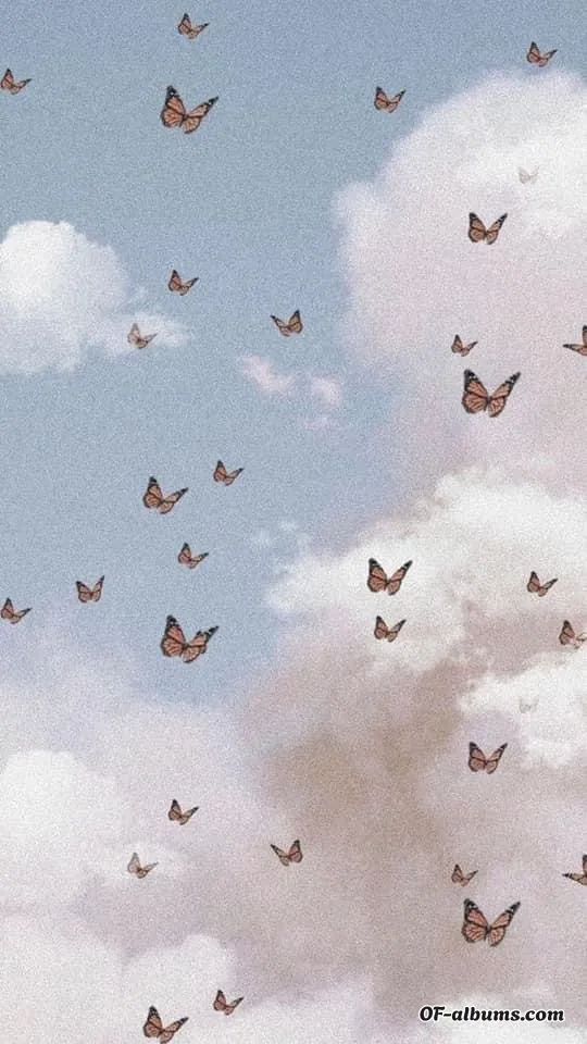 Image #1 of paizydope