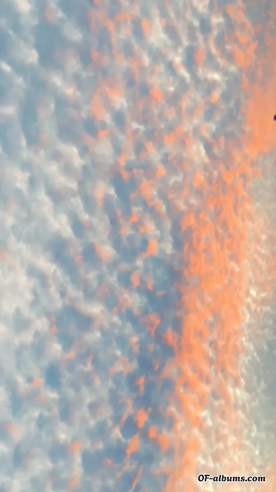 Image #1 of pantieswet