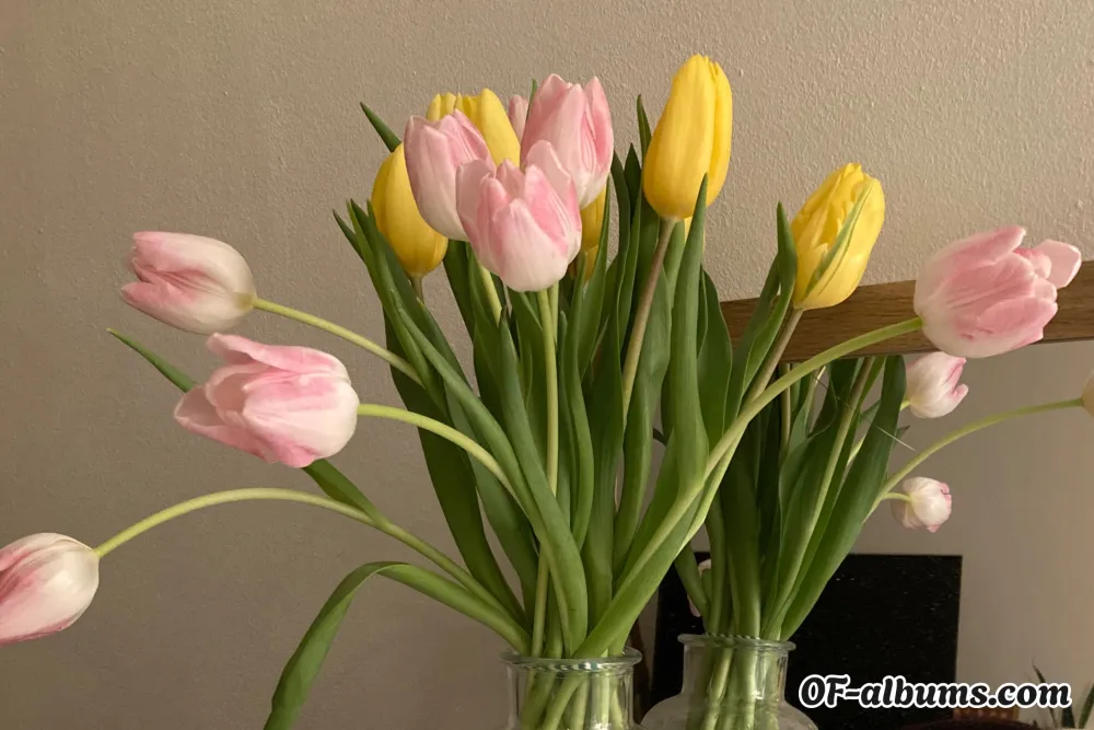 Image #2 of peachy_kisses