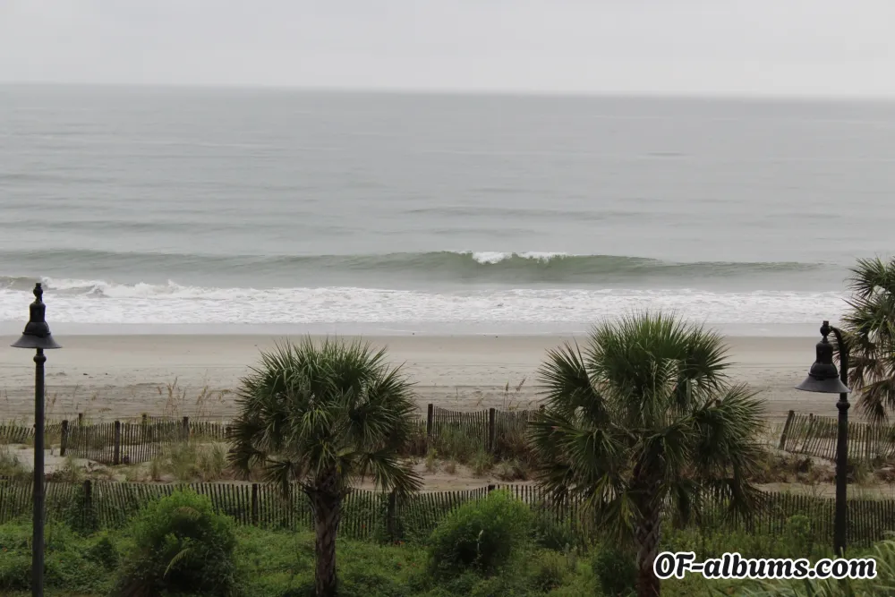 Image #2 of peeping.dom