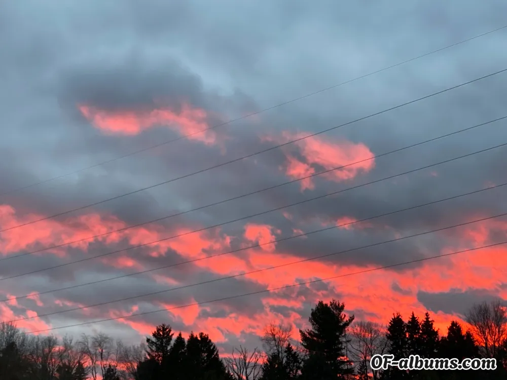 Image #2 of peppabopeep