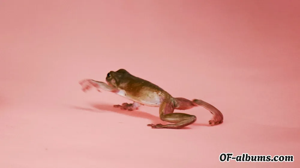 Image #2 of piripremium