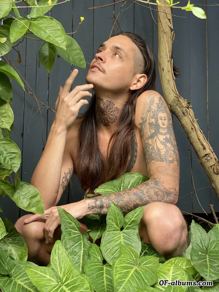 Image #1 of plantsugar