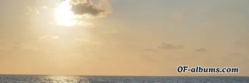 Image #7 of polita