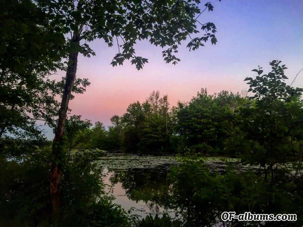 Image #2 of poseidonspoisonn