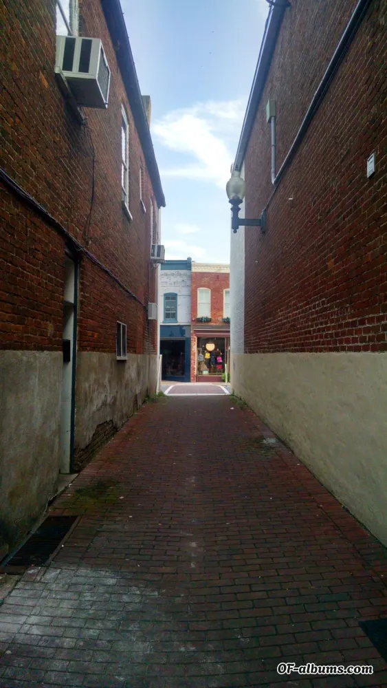 Image #8 of price