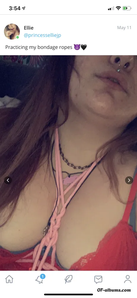 Image #1 of princessejp