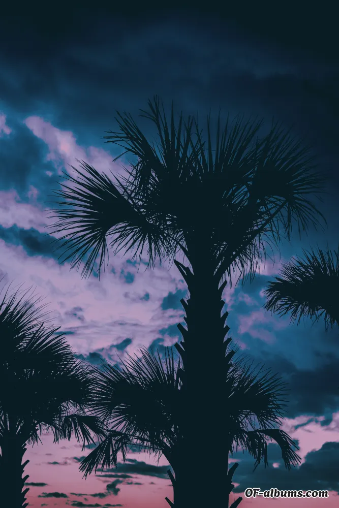 Image #8 of princesssapphire