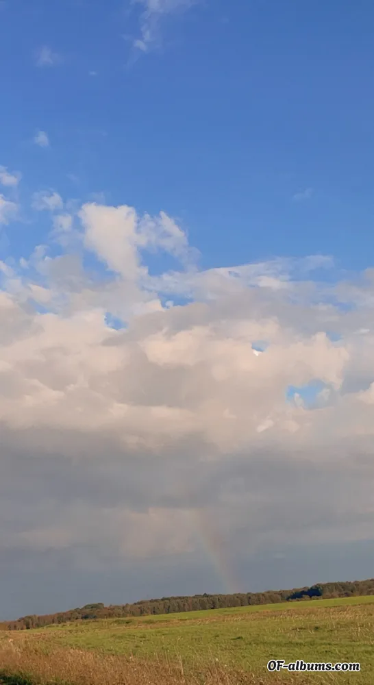 Image #2 of privatexxplay