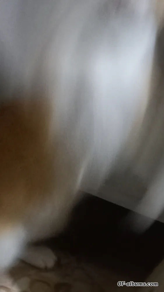 Image #4 of prwldhny