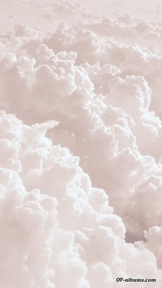 Image #2 of pvnkpanko