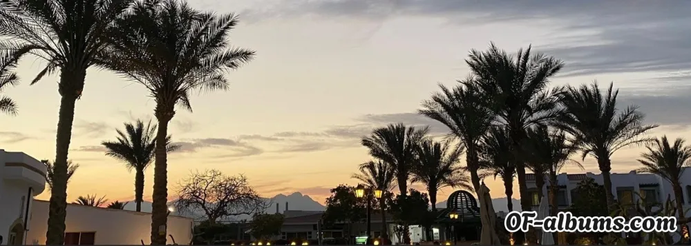 Image #2 of queen-kylie