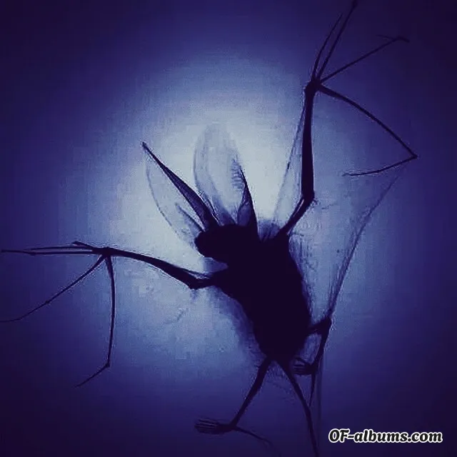 Image #2 of queen_morticia