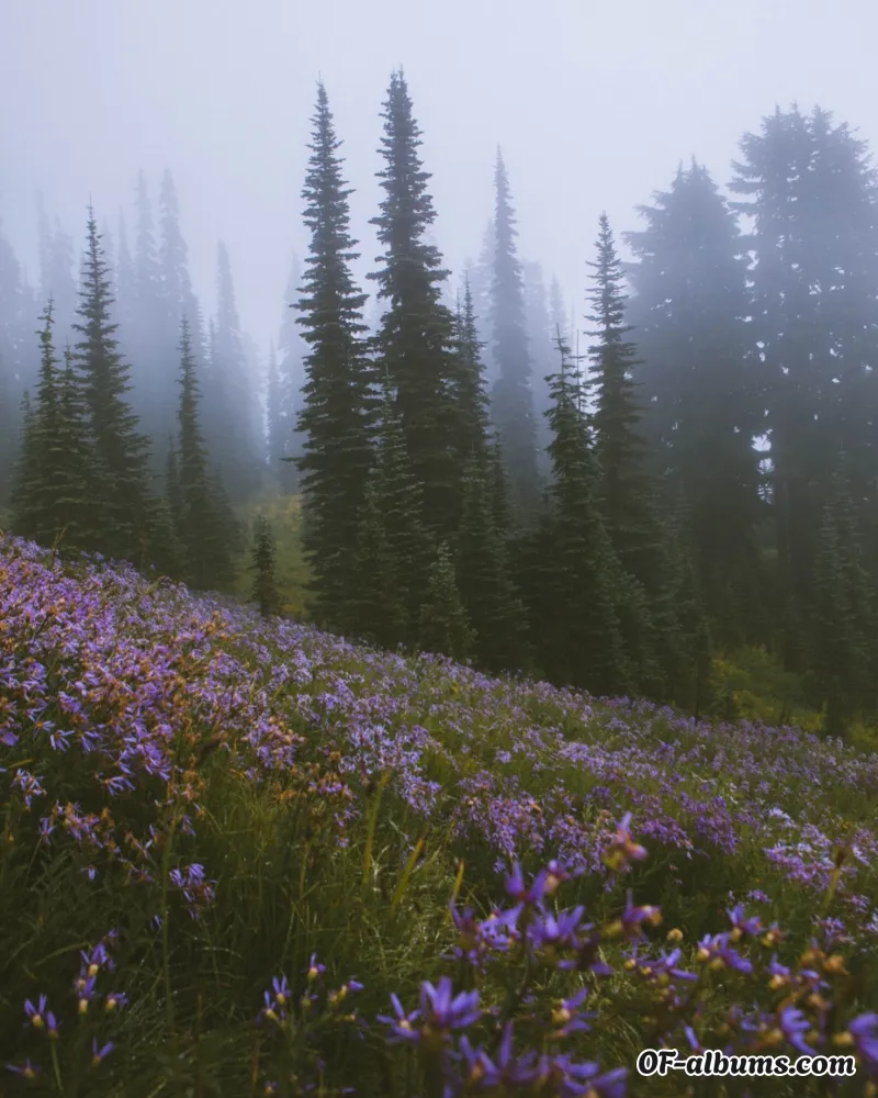 Image #2 of queenkalinxxx