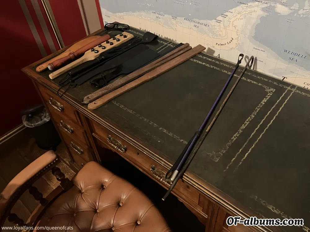 Image #2 of queenofcats