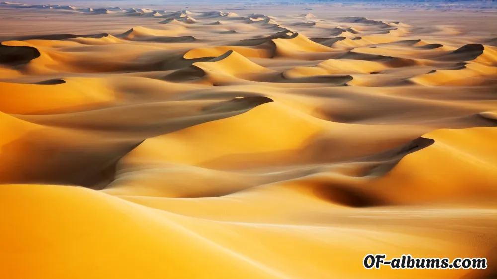 Image #2 of rakanz_com