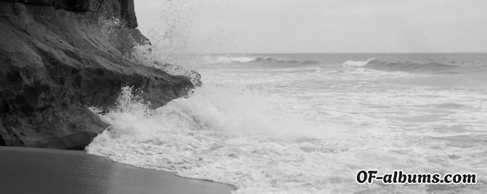 Image #2 of ravenwhite818