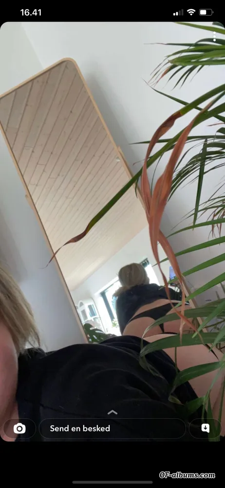 Image #1 of ravenwilder