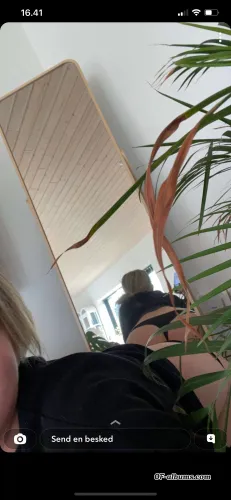 Image #3 of ravenwilder