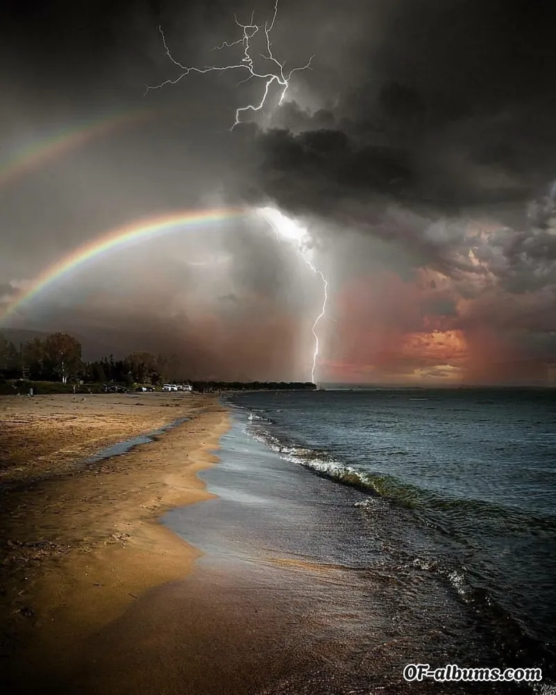 Image #2 of red-magic