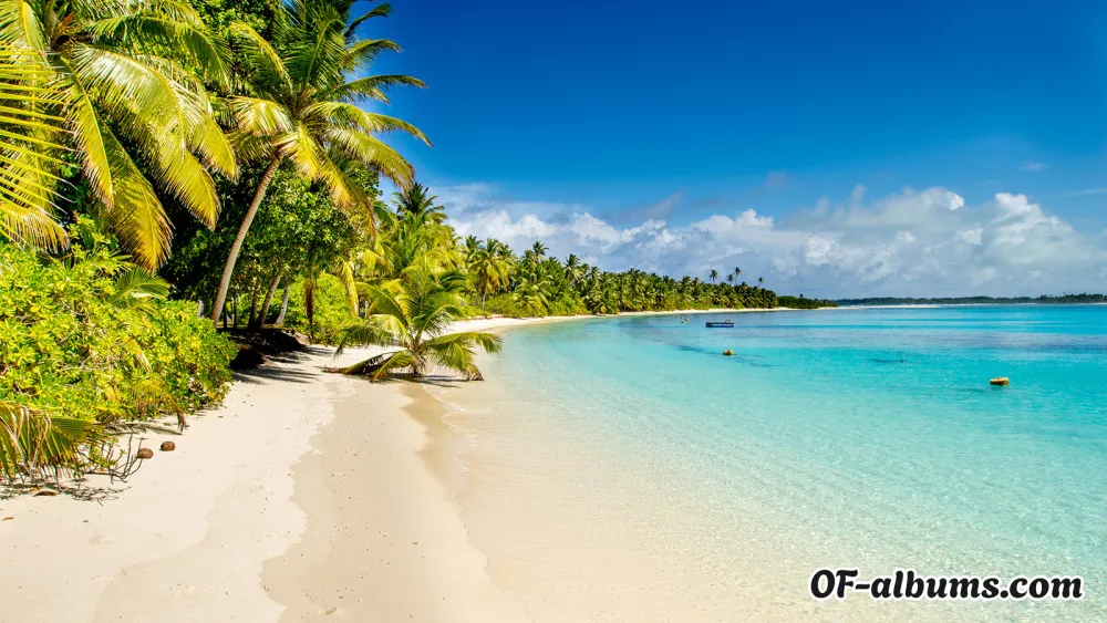 Image #2 of redcherry23