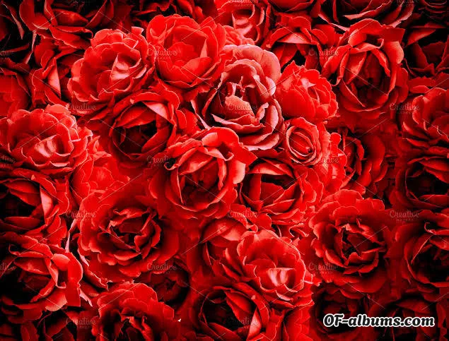 Image #2 of redmerced