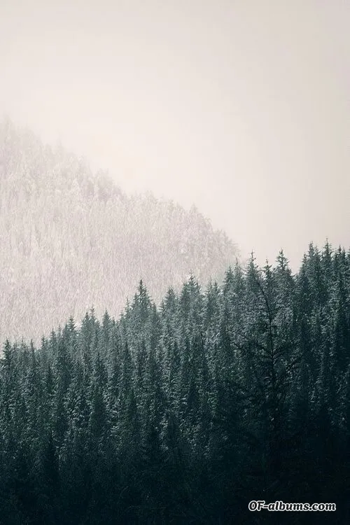 Image #2 of redrebel