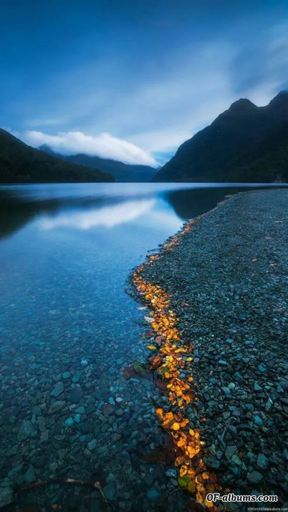 Image #2 of ricamorenita