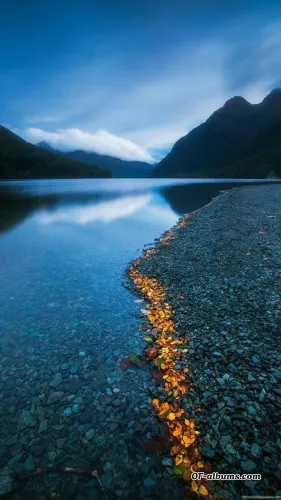 Image #4 of ricamorenita