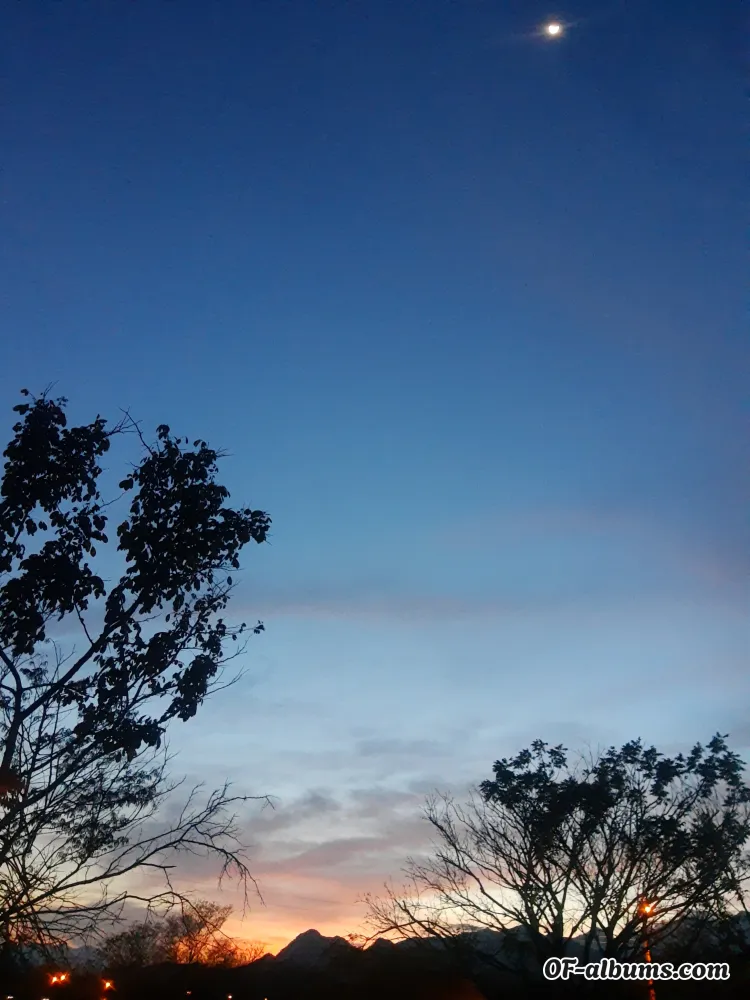 Image #2 of ricardoparada