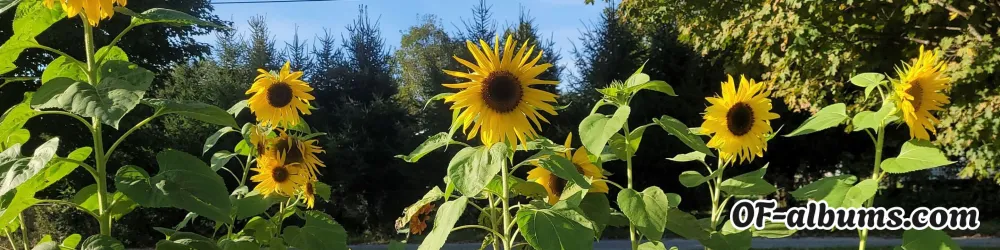 Image #2 of rivergray