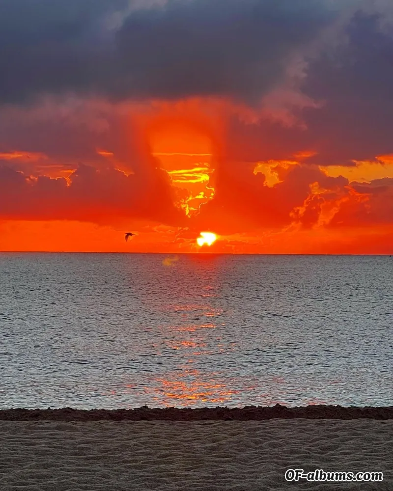 Image #2 of romanlustx