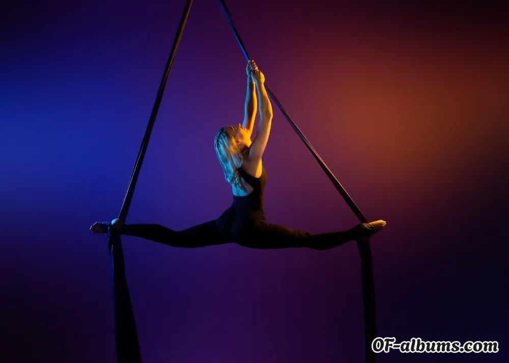 Image #2 of rosepolefitness