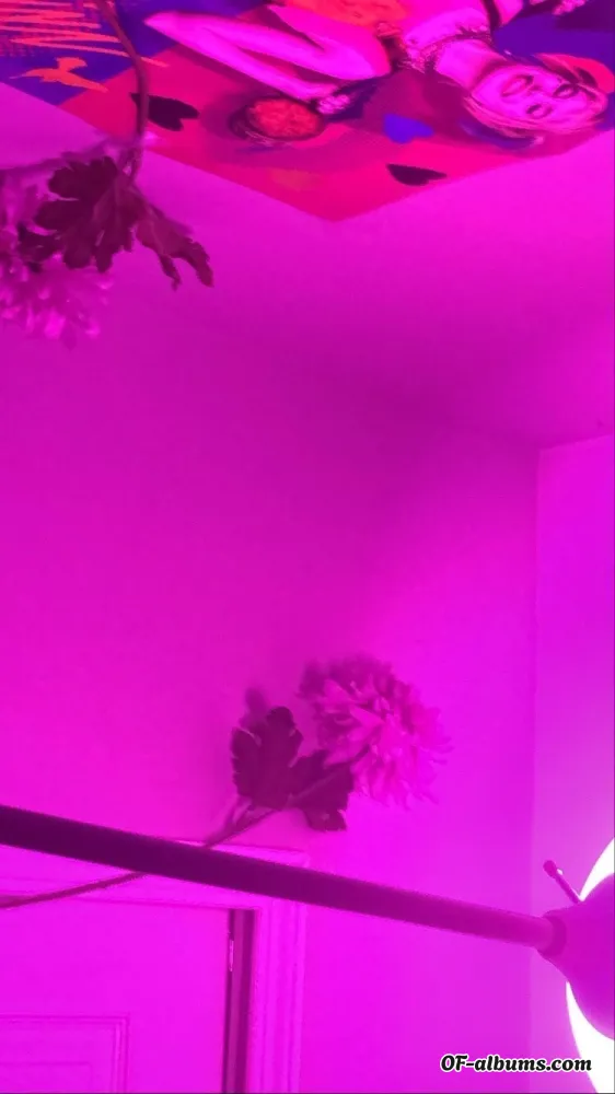 Image #4 of rosii3bbyy
