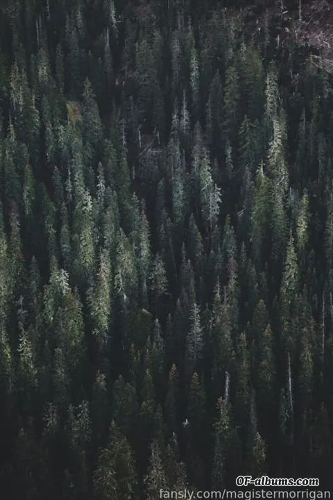 Image #2 of rvnekeeper