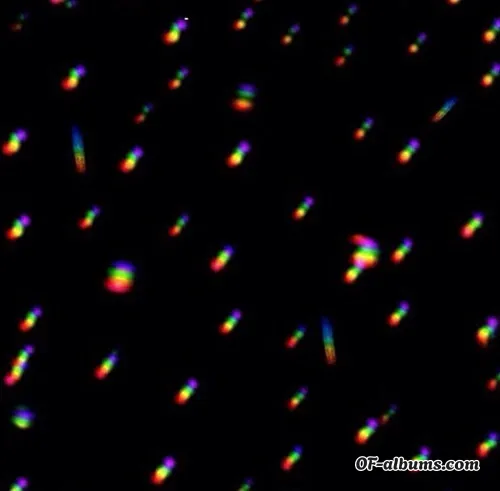 Image #3 of sassyash