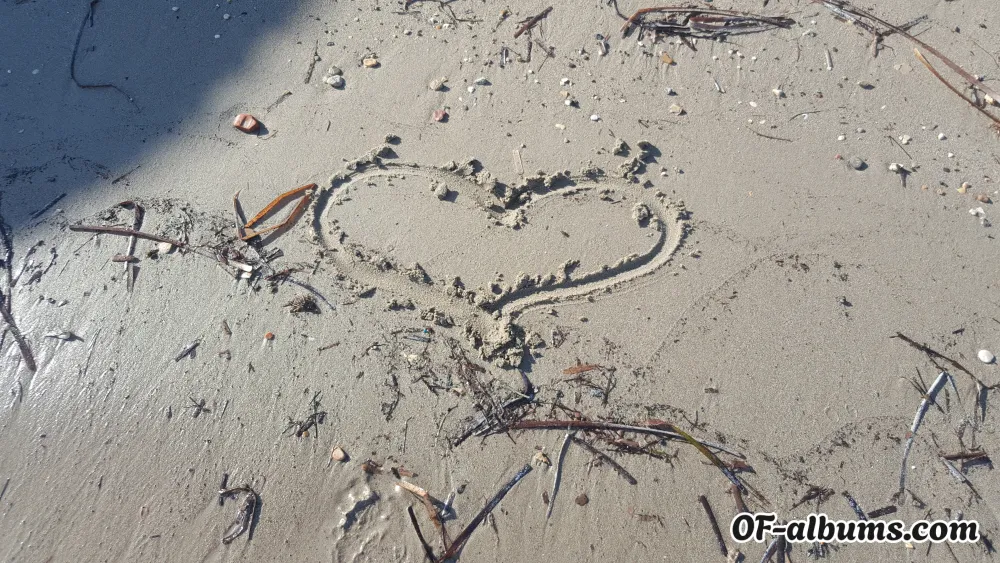 Image #3 of sassysam