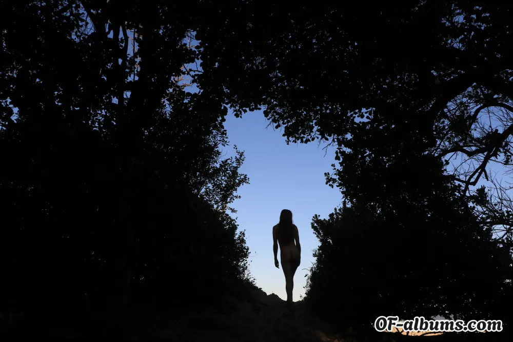 Image #2 of searching4eden_