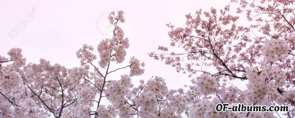 Image #2 of seeyalaterspacecowboy