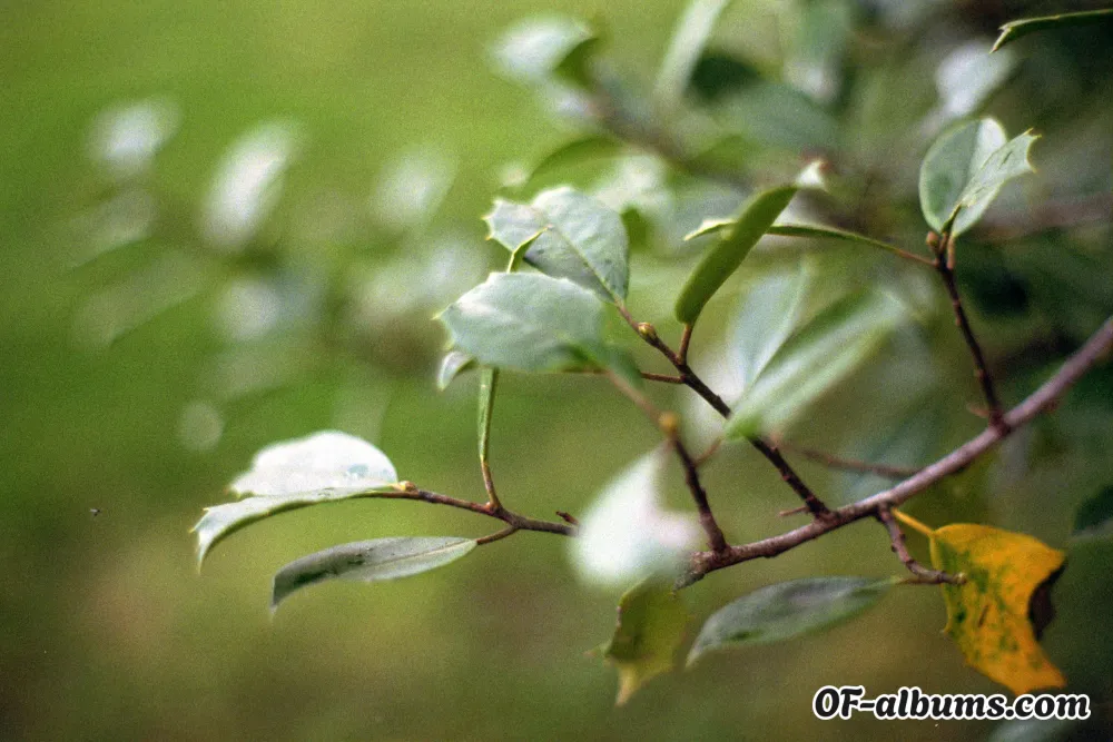 Image #2 of sensuallydark