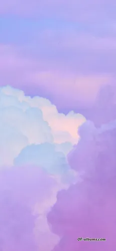 Image #5 of serine