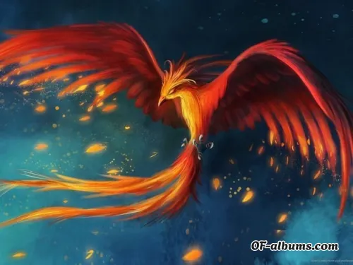 Image #4 of sexmetalphoenix_xxx