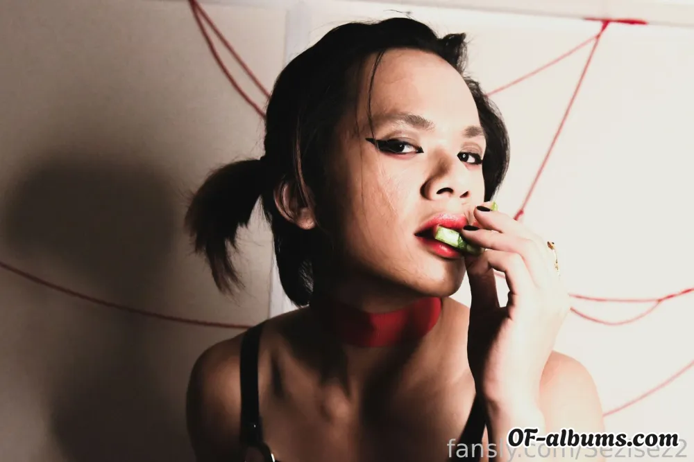 Image #1 of sezisez2