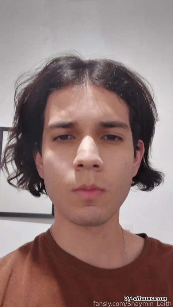 Image #1 of shaymin_leith